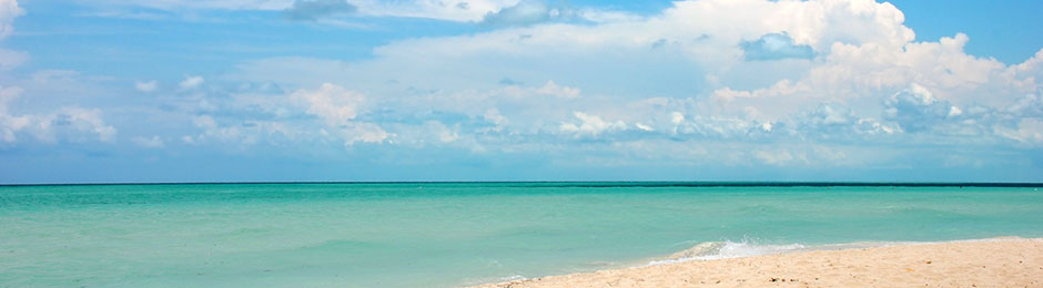 green sea and beach